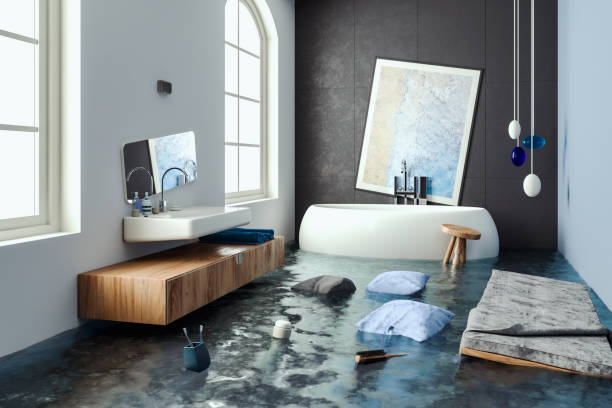 Best Water damage repair service  in Lake Sconsin, WI