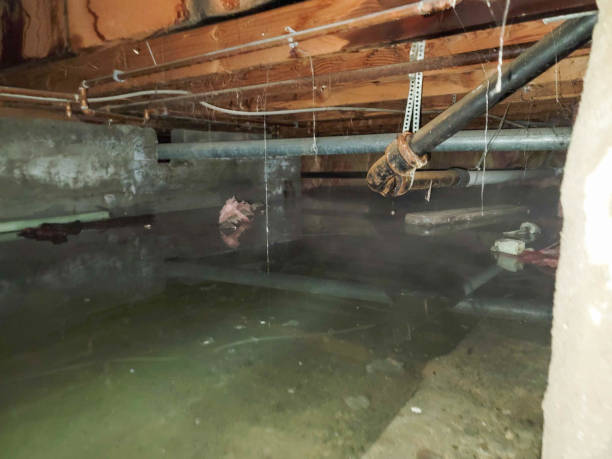 Best Fire Damage Restoration  in Lake Sconsin, WI