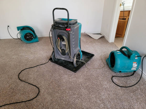 Best 24-hour water damage restoration  in Lake Sconsin, WI