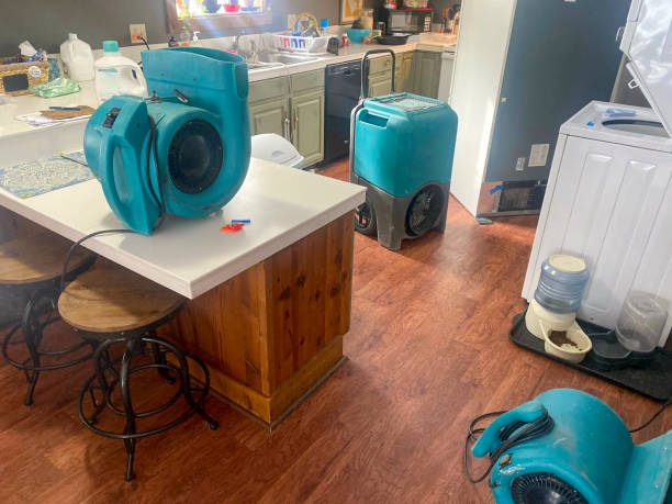 Best Professional water damage repair  in Lake Sconsin, WI