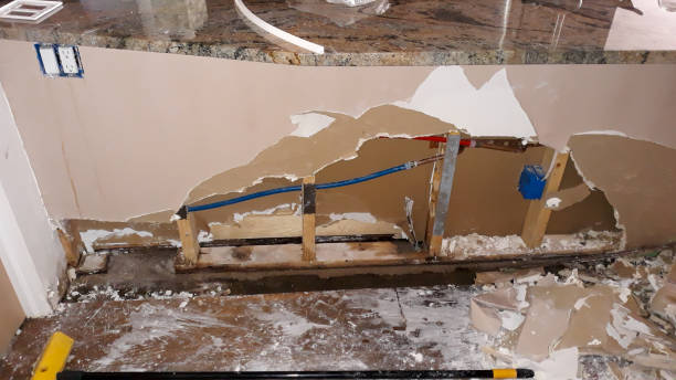 Best Basement water damage restoration  in Lake Sconsin, WI