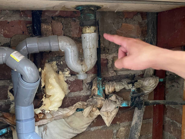 Best Residential water damage restoration  in Lake Sconsin, WI