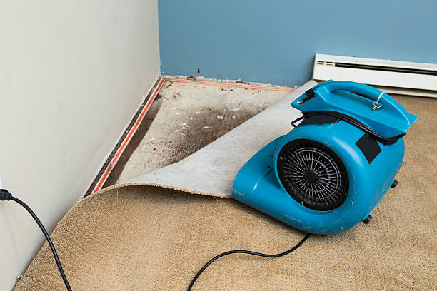 Best Water damage mitigation services  in Lake Sconsin, WI